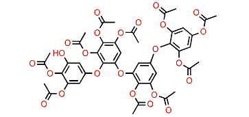 Pseudotetrafuhalol A undecaacetate